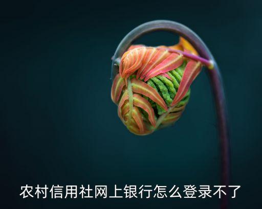 湖北農(nóng)信怎么登不上，農(nóng)村信用社網(wǎng)上銀行怎么登錄不了