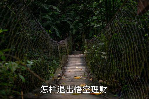 怎樣退出悟空理財
