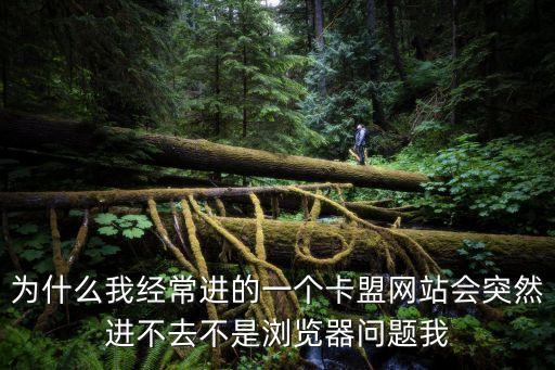 為什么我經(jīng)常進(jìn)的一個(gè)卡盟網(wǎng)站會(huì)突然進(jìn)不去不是瀏覽器問題我