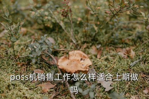 賣poss機怎么樣，poss機銷售工作怎么樣適合上期做嗎