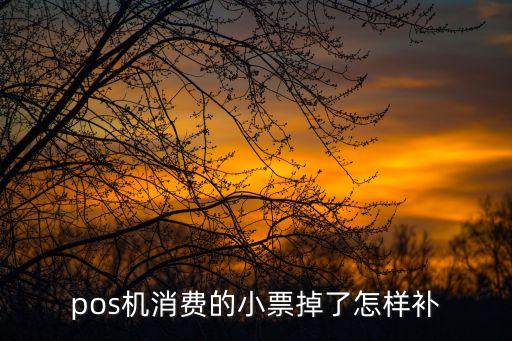 刷卡憑條怎么補，pos機消費的小票掉了怎樣補