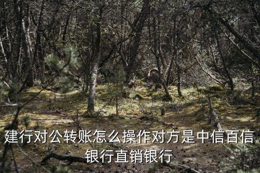 建行企業(yè)賬戶怎么轉(zhuǎn)賬，建行對公轉(zhuǎn)賬怎么操作對方是中信百信銀行直銷銀行
