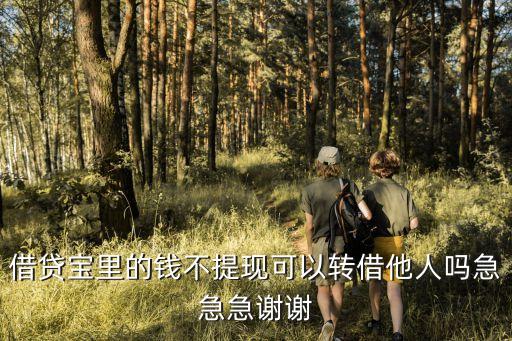 借貸寶里的錢不提現(xiàn)可以轉(zhuǎn)借他人嗎急急急謝謝