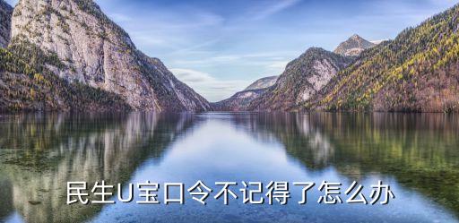 u寶口令忘了怎么辦，民生U寶口令不記得了怎么辦