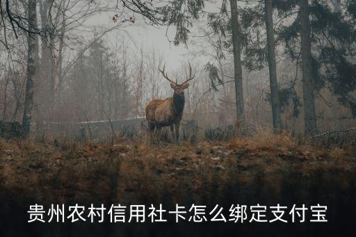 貴州銀行卡怎么綁定，貴州銀行卡可以在qq上綁定嗎