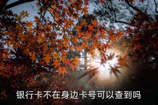 銀行卡不在身邊卡號(hào)可以查到嗎
