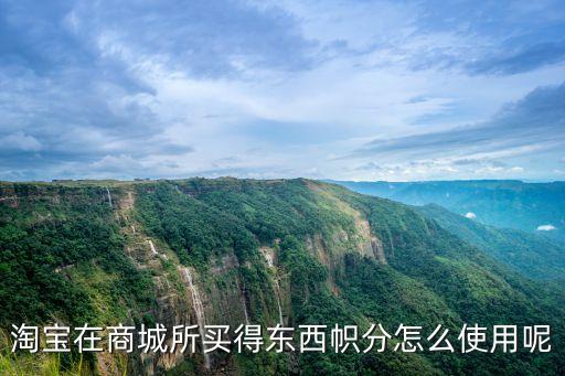 淘寶在商城所買得東西幟分怎么使用呢