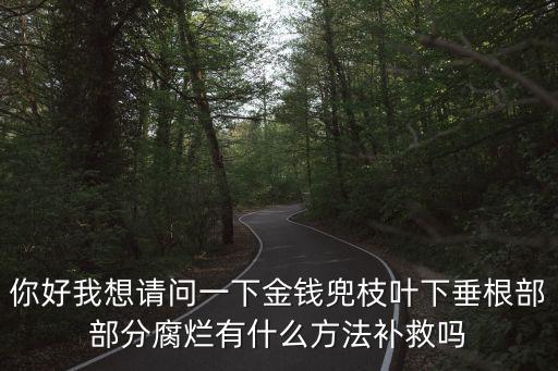 你好我想請問一下金錢兜枝葉下垂根部部分腐爛有什么方法補救嗎