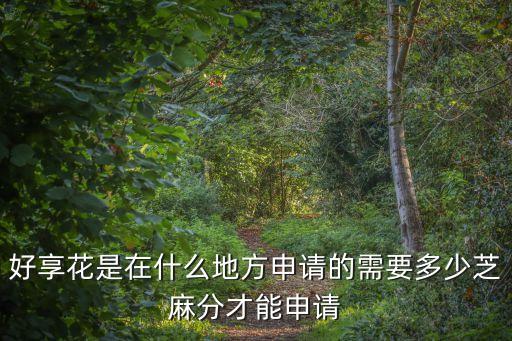 好享花是在什么地方申請的需要多少芝麻分才能申請
