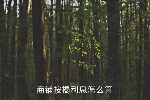 商鋪按揭貸款怎么算，商鋪按揭利息怎么算