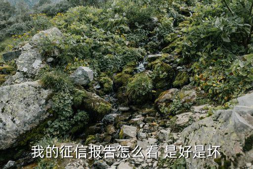 怎么看征信報(bào)告好不好，個(gè)人信用報(bào)告怎么查看好壞