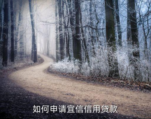如何申請(qǐng)宜信信用貸款