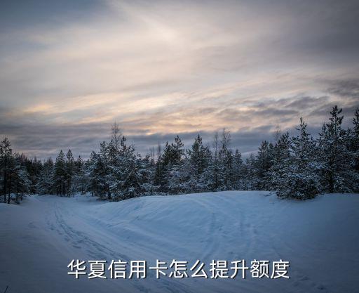 華夏易達(dá)金怎么漲額度，華夏信用卡怎么提升額度
