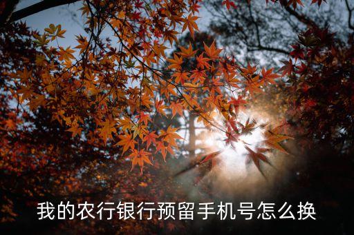 農(nóng)行預(yù)留電話怎么更改，中國(guó)農(nóng)業(yè)銀行預(yù)留手機(jī)號(hào)碼怎么改