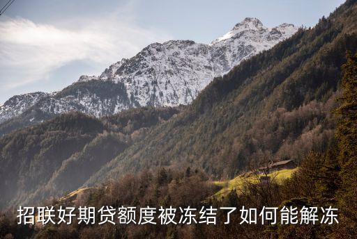 招聯(lián)好期貸額度被凍結(jié)了如何能解凍