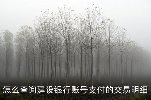 建行怎么查明細(xì)查詢，如何查詢建設(shè)銀行交易明細(xì)