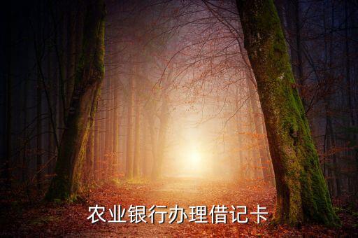 農(nóng)業(yè)銀行辦理借記卡