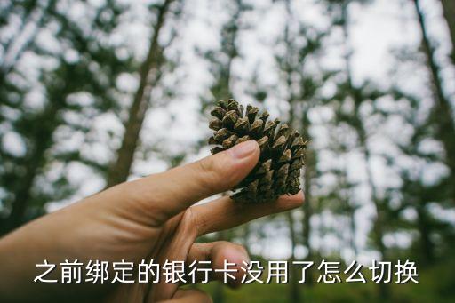 之前綁定的銀行卡沒(méi)用了怎么切換