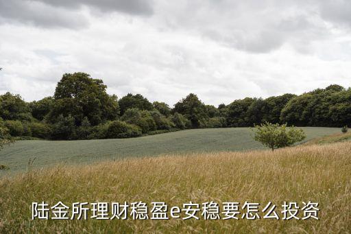 陸金所的穩(wěn)贏安e怎么玩，陸金所理財(cái)穩(wěn)盈e安穩(wěn)要怎么投資