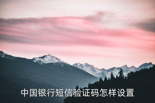 中國銀行短信驗(yàn)證碼怎樣設(shè)置