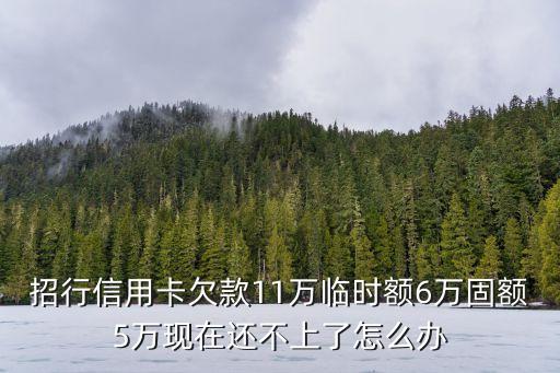 招行信用卡欠款11萬臨時額6萬固額5萬現(xiàn)在還不上了怎么辦