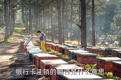 銀行卡注銷的翻譯是什么意思