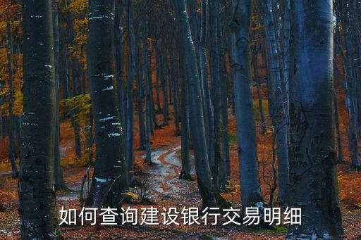 如何查詢建設銀行交易明細