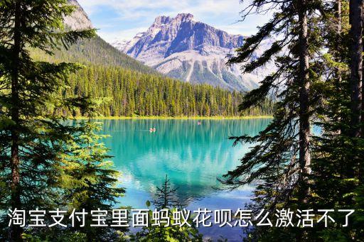淘寶支付寶里面螞蟻花唄怎么激活不了