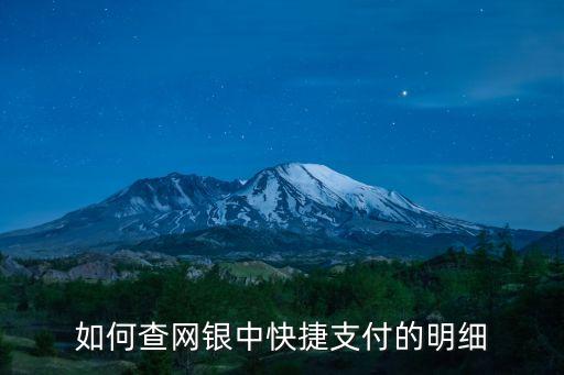 如何查網(wǎng)銀中快捷支付的明細(xì)