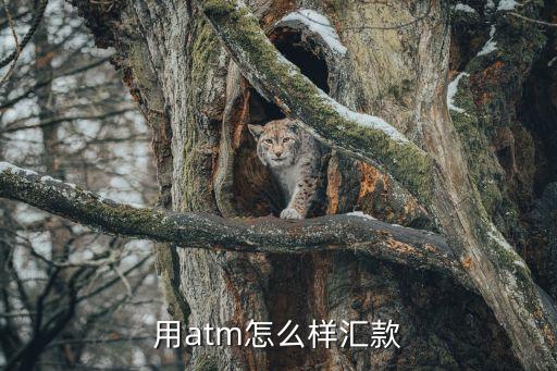 怎么用atm匯款，用atm怎么樣匯款