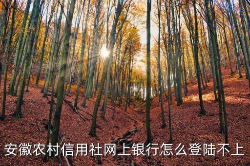 安徽農(nóng)村信用社網(wǎng)上銀行怎么登陸不上