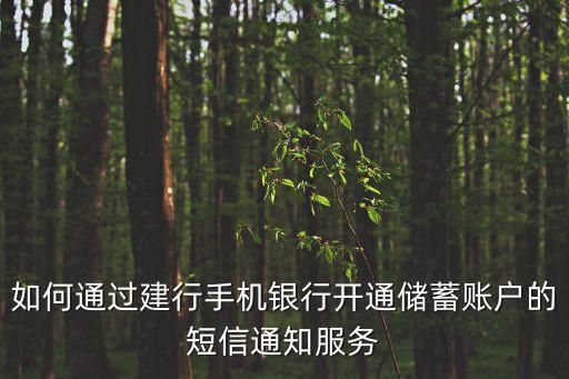 如何通過建行手機銀行開通儲蓄賬戶的短信通知服務(wù)
