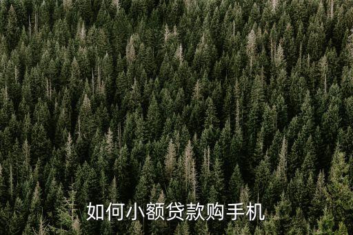 如何小額貸款購手機