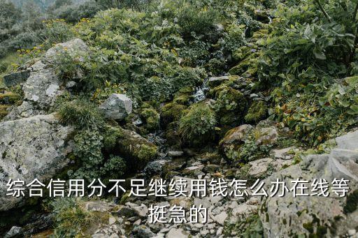 綜合信用分不足怎么補，綜合信用評分不足怎么辦里網(wǎng)貸