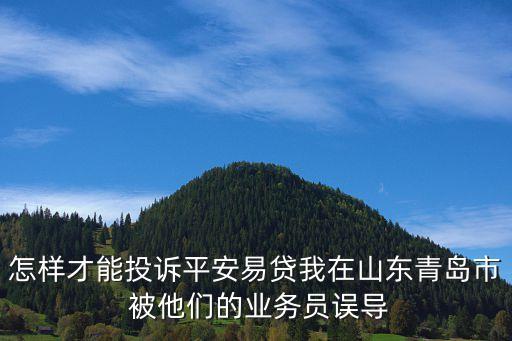 怎樣才能投訴平安易貸我在山東青島市 被他們的業(yè)務(wù)員誤導(dǎo)