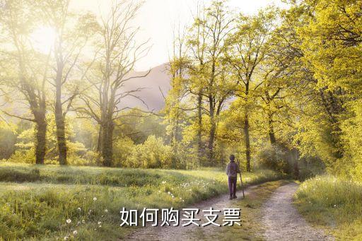 銀行轉(zhuǎn)賬支票怎么買，如何購買支票