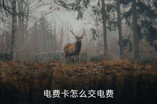 電費卡怎么繳費，怎么交電費