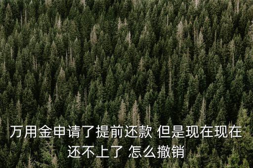怎么退出提前放款計(jì)劃，萬(wàn)用金申請(qǐng)了提前還款 但是現(xiàn)在現(xiàn)在還不上了 怎么撤銷