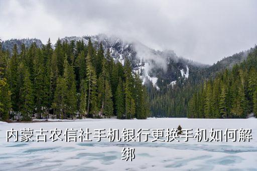 內(nèi)蒙古農(nóng)信社手機(jī)銀行更換手機(jī)如何解綁