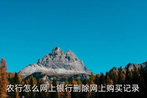 農(nóng)行怎么網(wǎng)上銀行刪除網(wǎng)上購(gòu)買記錄