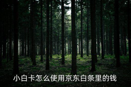 京東白卡怎么用，小白卡怎么使用京東白條里的錢