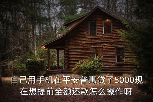 平安i貸怎么全額還款，平安普惠i貸可以一次性還請貸款嗎
