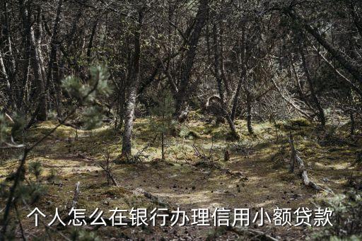 怎么在銀行小額貸款，個(gè)人怎么在銀行辦理信用小額貸款