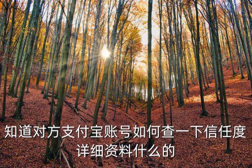 知道對方支付寶賬號如何查一下信任度詳細資料什么的