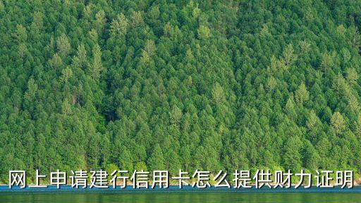 怎么開建行的財(cái)產(chǎn)證明，網(wǎng)上申請(qǐng)信用卡要怎樣提供資產(chǎn)證明