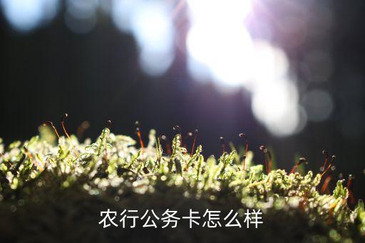 農(nóng)行公務(wù)卡怎么樣