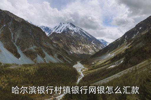 怎么往哈爾濱銀行匯錢，去郵政儲蓄所能往哈爾濱銀行卡里打錢嗎