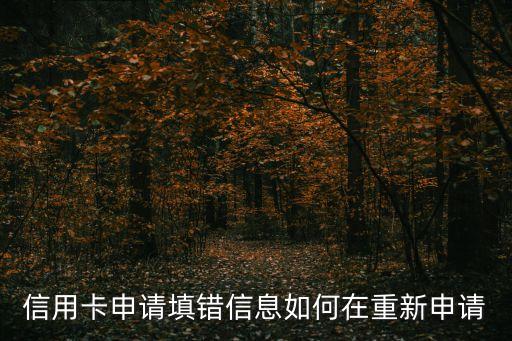 信用卡申請?zhí)铄e(cuò)信息如何在重新申請