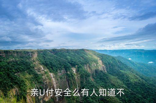 u卡支付怎么樣，U形發(fā)卡怎么樣用