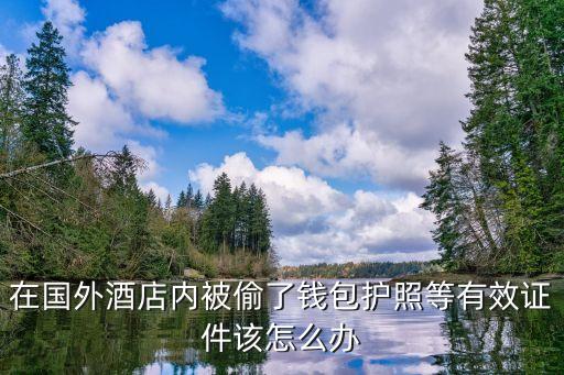 國外被偷了怎么，如果在海外東西被偷了該怎么辦